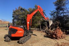 Tree-and-Brush-Clearing